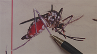 Mosquito Abatement, The County Seat EP 234 - Segment1